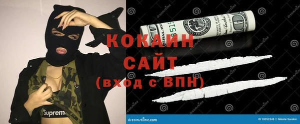 соль ск Абаза