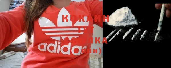 соль ск Абаза