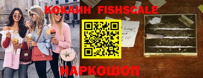 индика Моздок
