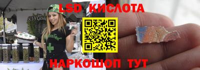 индика Моздок