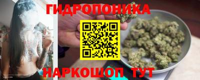 мдпв Можга