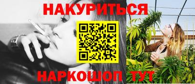 индика Моздок