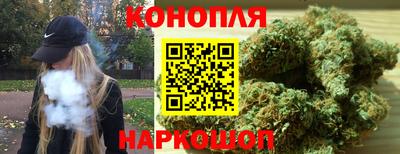 мдпв Можга