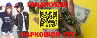 индика Моздок