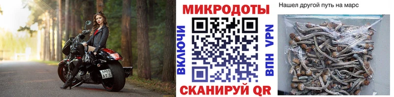 Псилоцибиновые грибы MAGIC MUSHROOMS  что такое   blacksprut сайт  Хасавюрт 