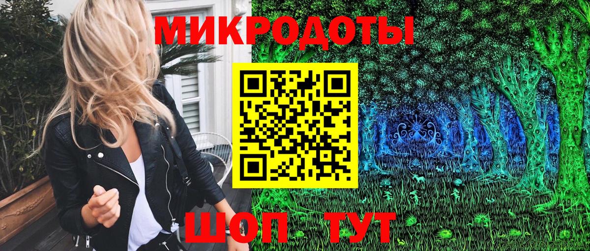 Псилоцибиновые грибы Cubensis Хасавюрт