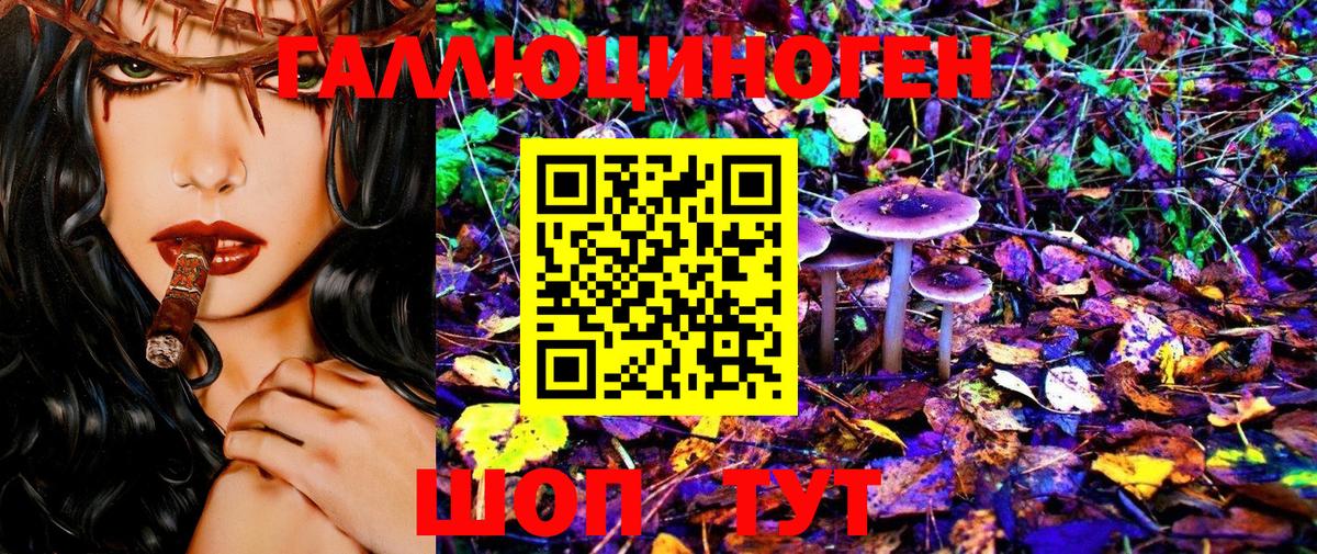 Галлюциногенные грибы Psilocybe  Галлюциногенные грибы мухоморы  Вход с VPN  Хасавюрт 