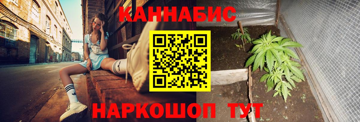 Шишки марихуана White Widow  Вход с VPN  Марихуана сатива  Хасавюрт  Бошки марихуана марихуана  Шишки марихуана ГИДРОПОН 